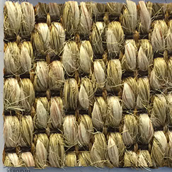 Tropic Jab Teppichboden, Teppich und Teppiche.